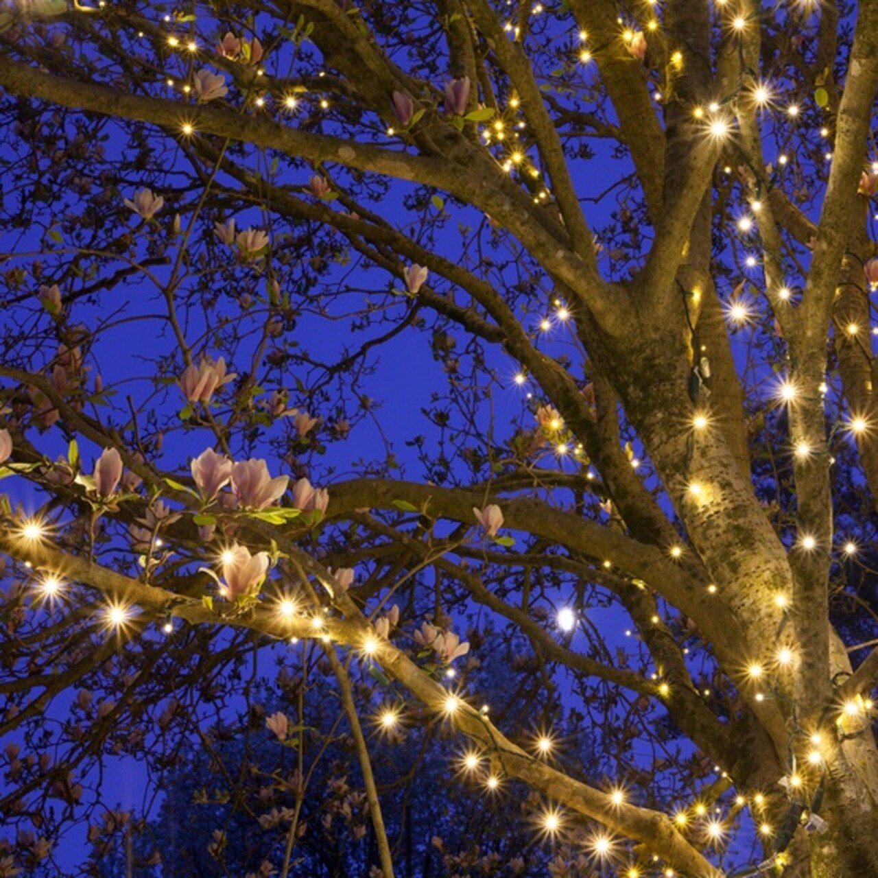 Perfect Holiday 100 LED String Lights Waterproof Outdoor Flashing